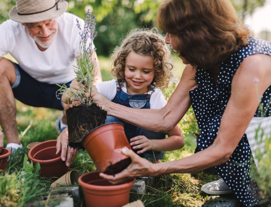 Grandparents gardening with their grandchild.