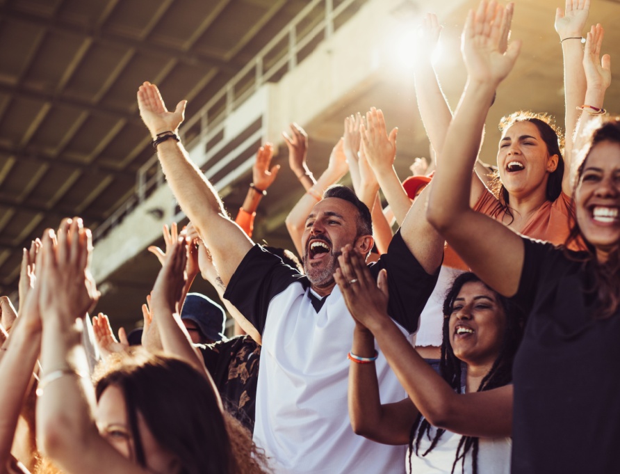 A crowd of people at a sports game.